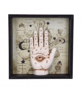 Nemesis Wandrelief Palmistry Companion