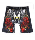 Sullen Boxers Tigers and Daggers