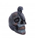 Nemesis Now Figur Serpentine Skull