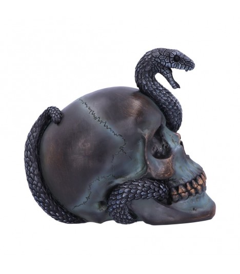 Nemesis Now Figur Serpentine Skull