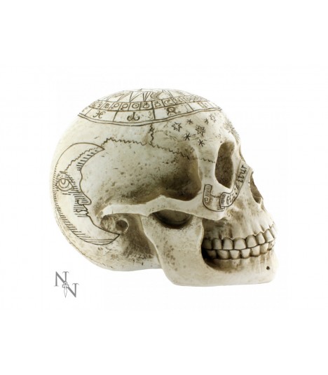 Nemesis Now Figur Astrological Skull