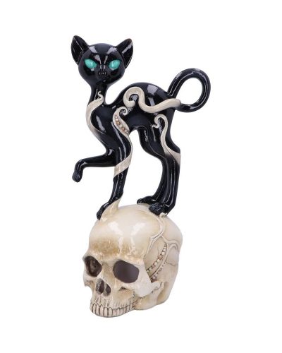 Nemesis Now Katze auf Schädel mit LED