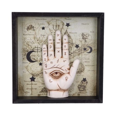 Nemesis Wandrelief Palmistry Companion