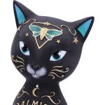 Nemesis Now Figur Fortune Kitty