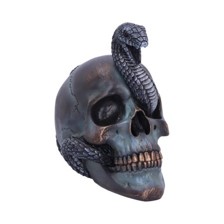 Nemesis Now Figur Serpentine Skull
