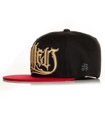 Sullen Snapback Cap Remo