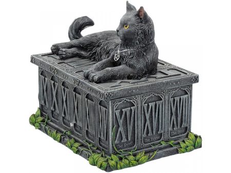 Nemesis Now Schatulle Fortune's Watcher Tarot