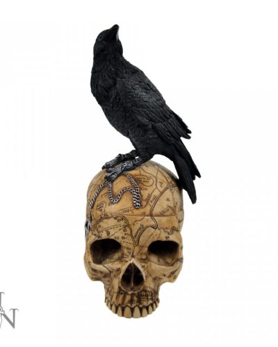 Nemesis Now Schatulle Salems Familiar