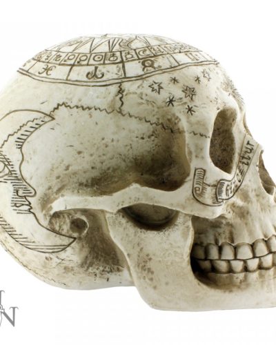Nemesis Now Figur Astrological Skull