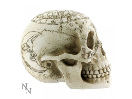 Nemesis Now Figur Astrological Skull