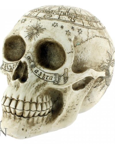 Nemesis Now Figur Astrological Skull
