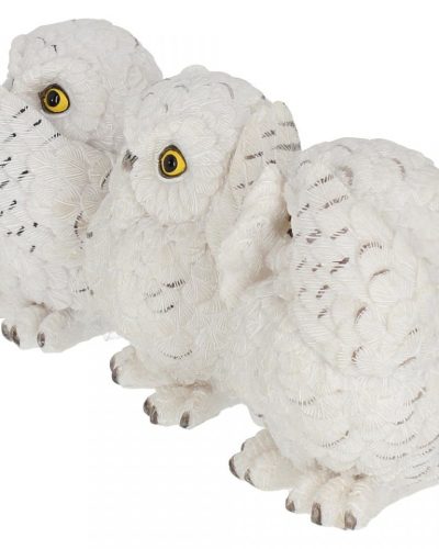 Nemesis Now 3er Set Schnee Eulen