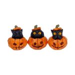 Nemesis Now Three Wise Pumpkin 3er Set