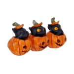 Nemesis Now Three Wise Pumpkin 3er Set – Bild 3