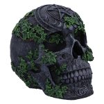 Nemesis Now Schädel Aged Pentagram