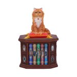 Nemesis Now Schatulle Mad About Cats by Lisa Parker