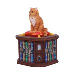 Nemesis Now Schatulle Mad About Cats by Lisa Parker – Bild 2