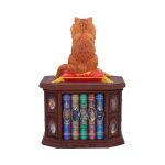 Nemesis Now Schatulle Mad About Cats by Lisa Parker – Bild 3