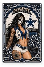 Barmetal Blechschild Dallas Cowboys 20x30 CM